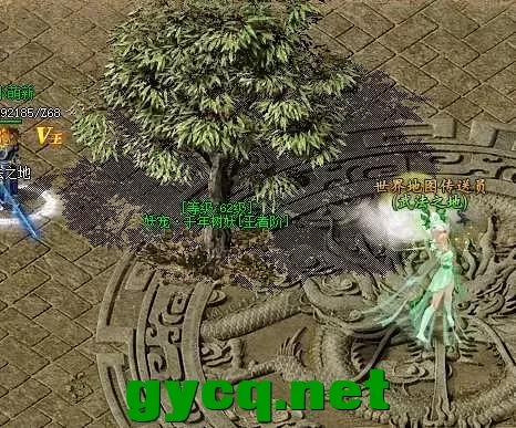 QQ图片20250426124751.webp