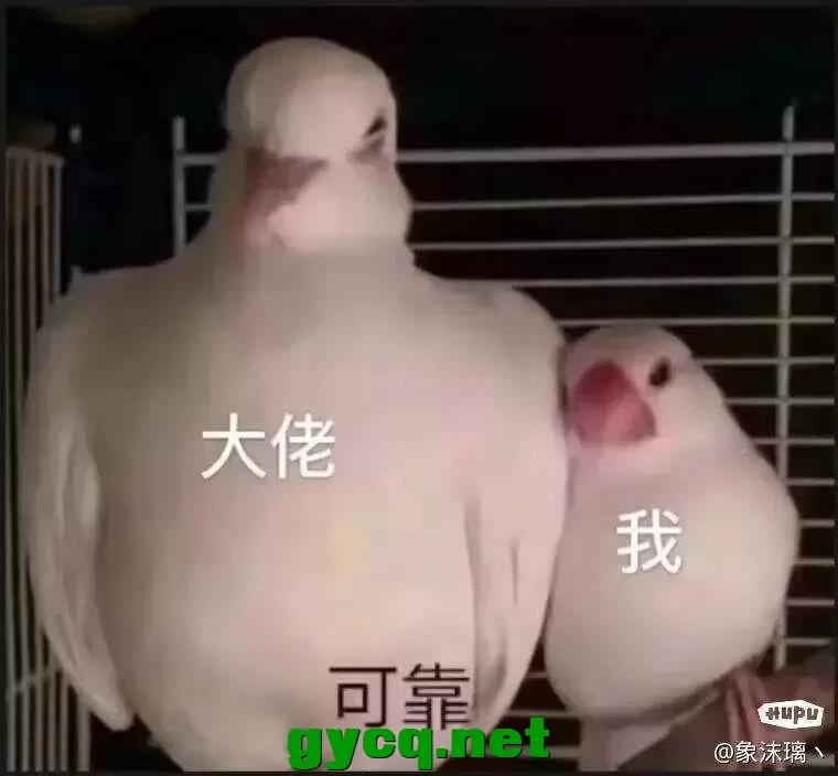 QQ图片20250426215330.webp